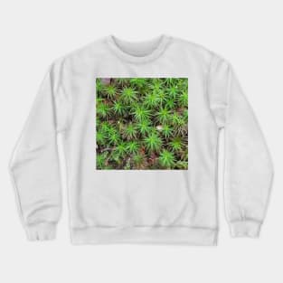 Green Common Haircap Moss Crewneck Sweatshirt